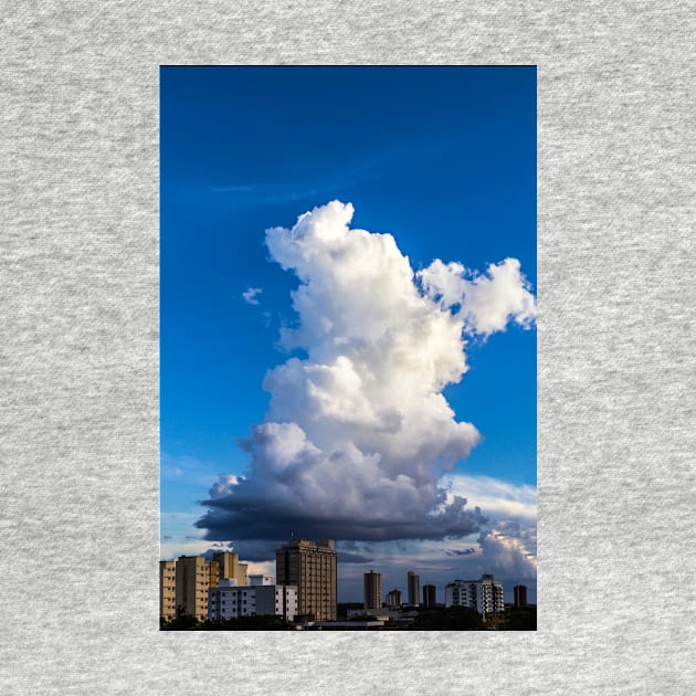 Cumulonimbus Clouds over Foz do Iguacu, Brazil by holgermader